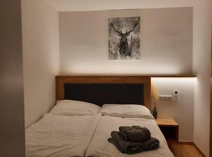 Mini-apartment Apartment Admont